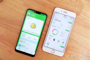 小格雷攜手OPPO，為學(xué)生群體量身打造專(zhuān)屬手機(jī)